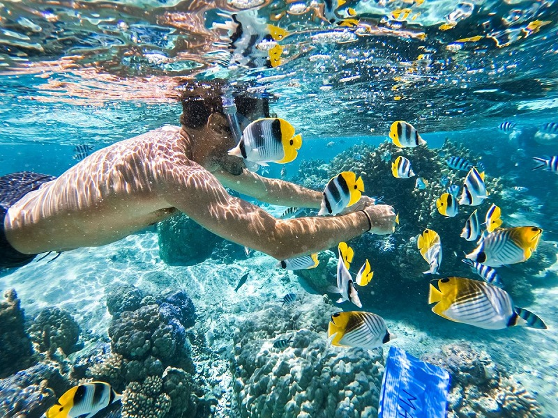 Trải nghiệm “hoà mình vào đại dương” khi tham gia snorkeling tour Phú Quốc