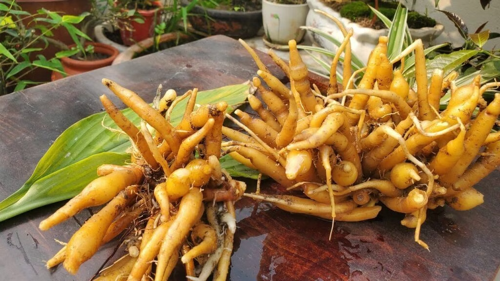 Gia vị đặc trưng làm lên hương vị của món bún cá Châu Đốc
