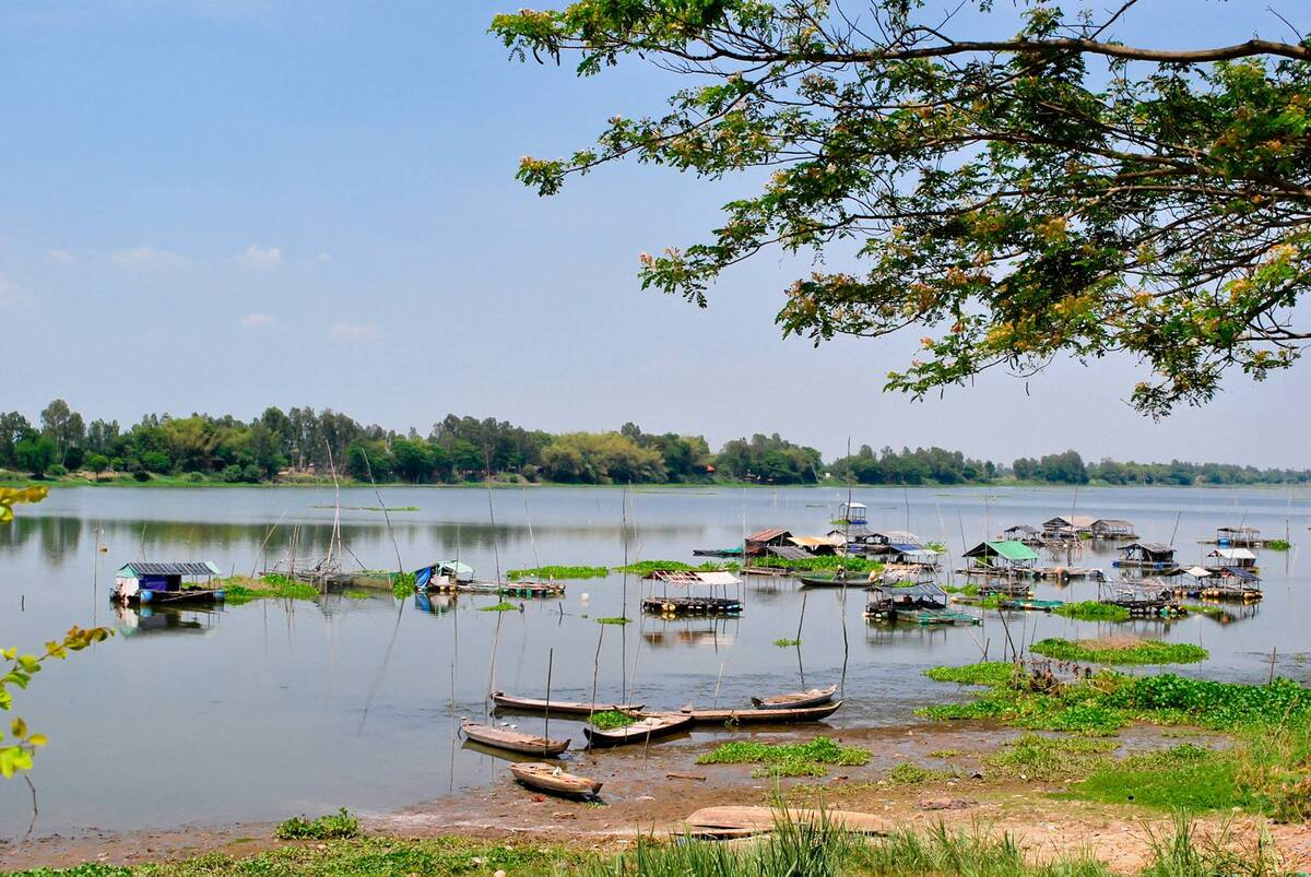 Búng Bình Thiên nằm cách Châu Đốc được xem là hồ nước ngọt tự nhiên lớn nhất miền Tây Nam Bộ