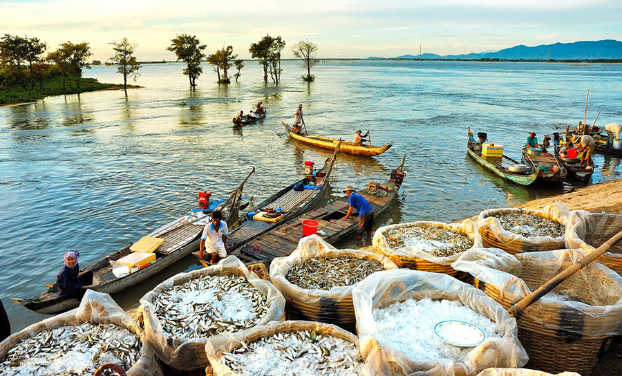 Vẻ đẹp mùa nước nổi An Giang