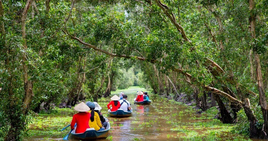 Rừng tràm Trà Sư – tất tần tật kinh nghiệm tham quan, trải nghiệm sinh thái