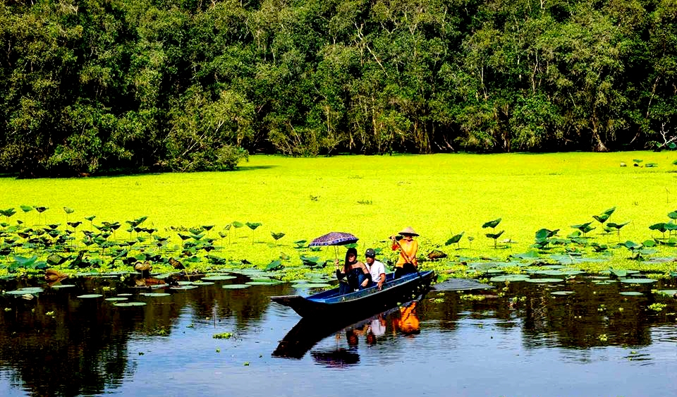 Khi tham quan rừng tràm Trà Sư, bạn nên ưu tiên trang phục gọn nhẹ, thoáng mát và giày thể thao để thuận tiện di chuyển