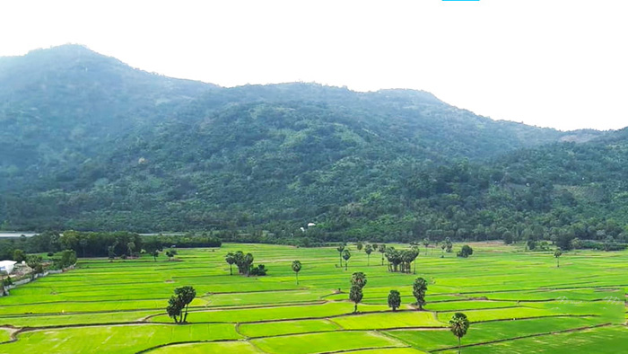 Khung cảnh thiên nhiên yên bình tại Núi Dài