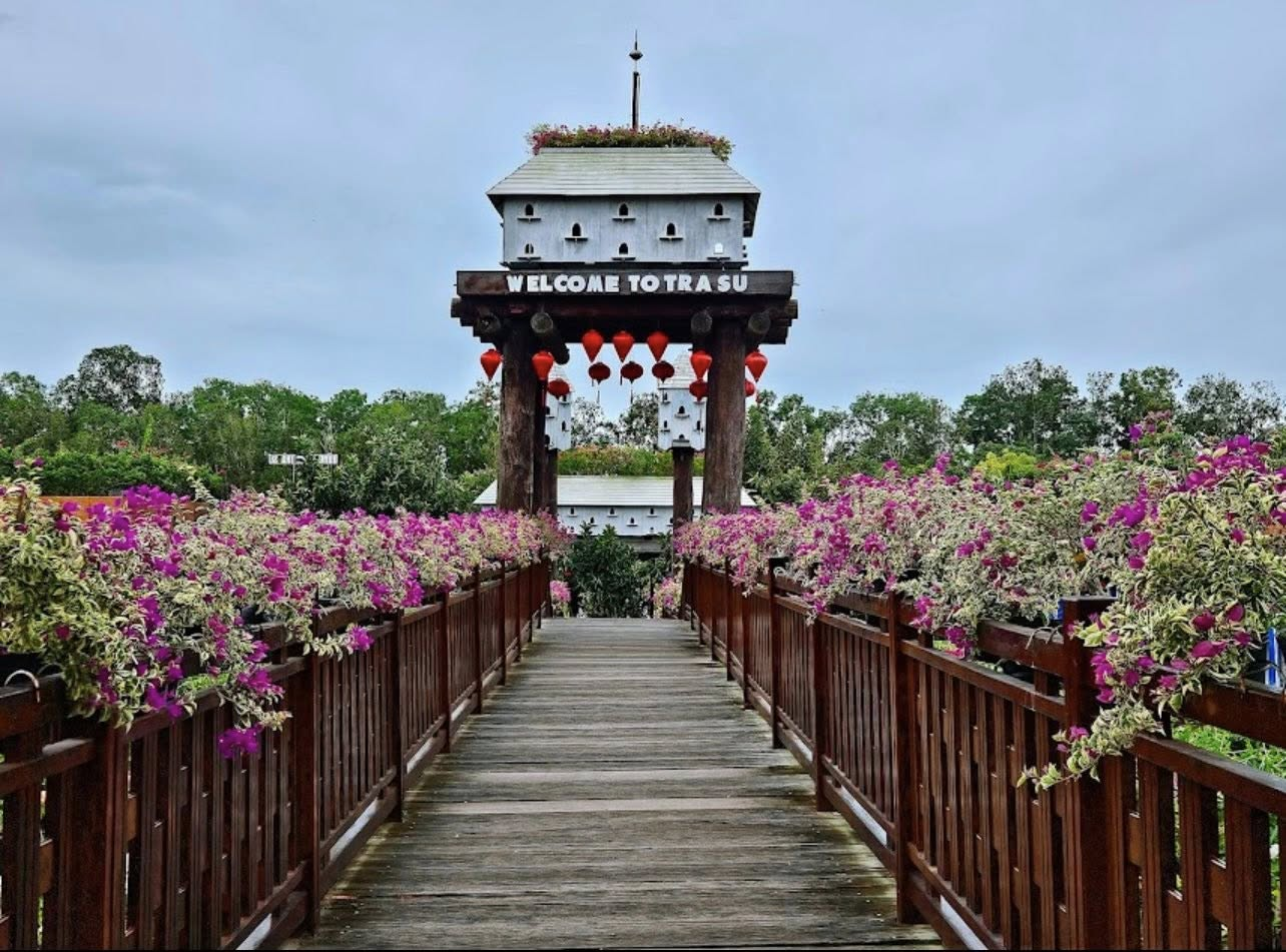 Khu du lịch sinh thái rừng tràm Trà Sư là điểm đến lý tưởng cho những du khách yêu thiên nhiên