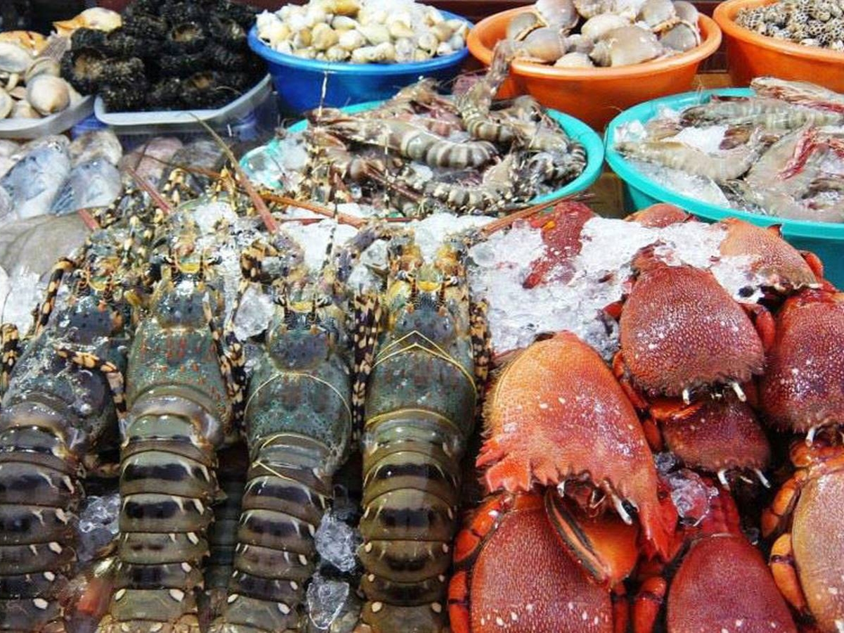 Bãi Kem được thiên nhiên ưu ái ban tặng nguồn hải sản tươi ngon và đa dạng về chủng loại