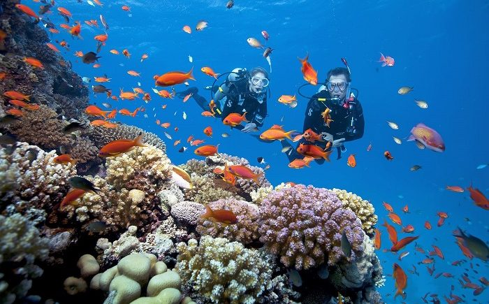 Du khách khám phá những rạn san hô rực rỡ dưới đáy biển
