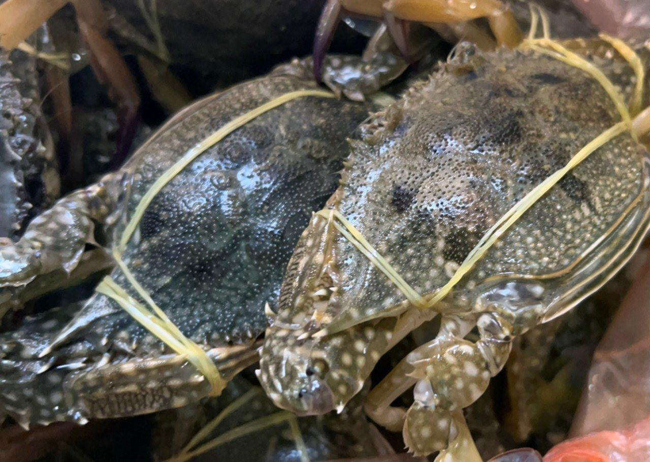 Rất nhiều món ngon được chế biến từ những chú ghẹ Hàm Ninh tươi, chắc thịt