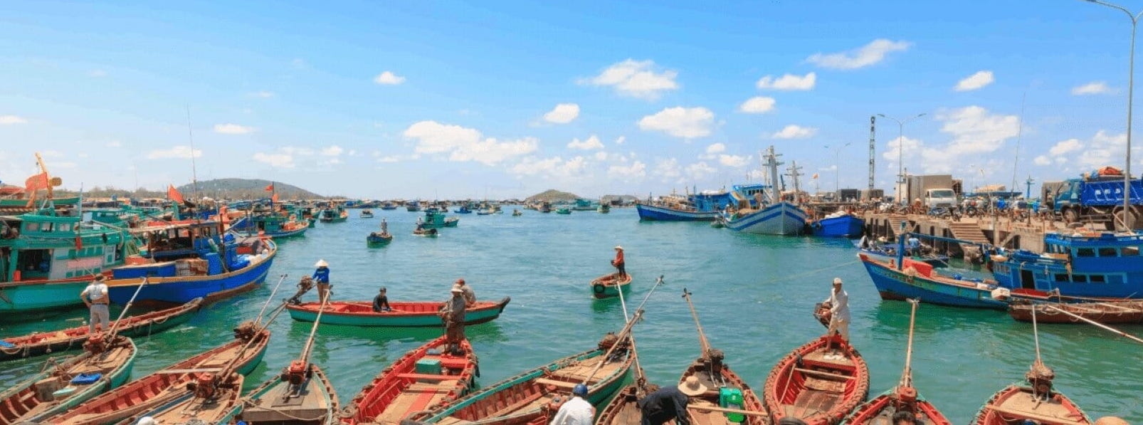 Ngư dân nô nức kéo lưới tại làng chài Hàm Ninh