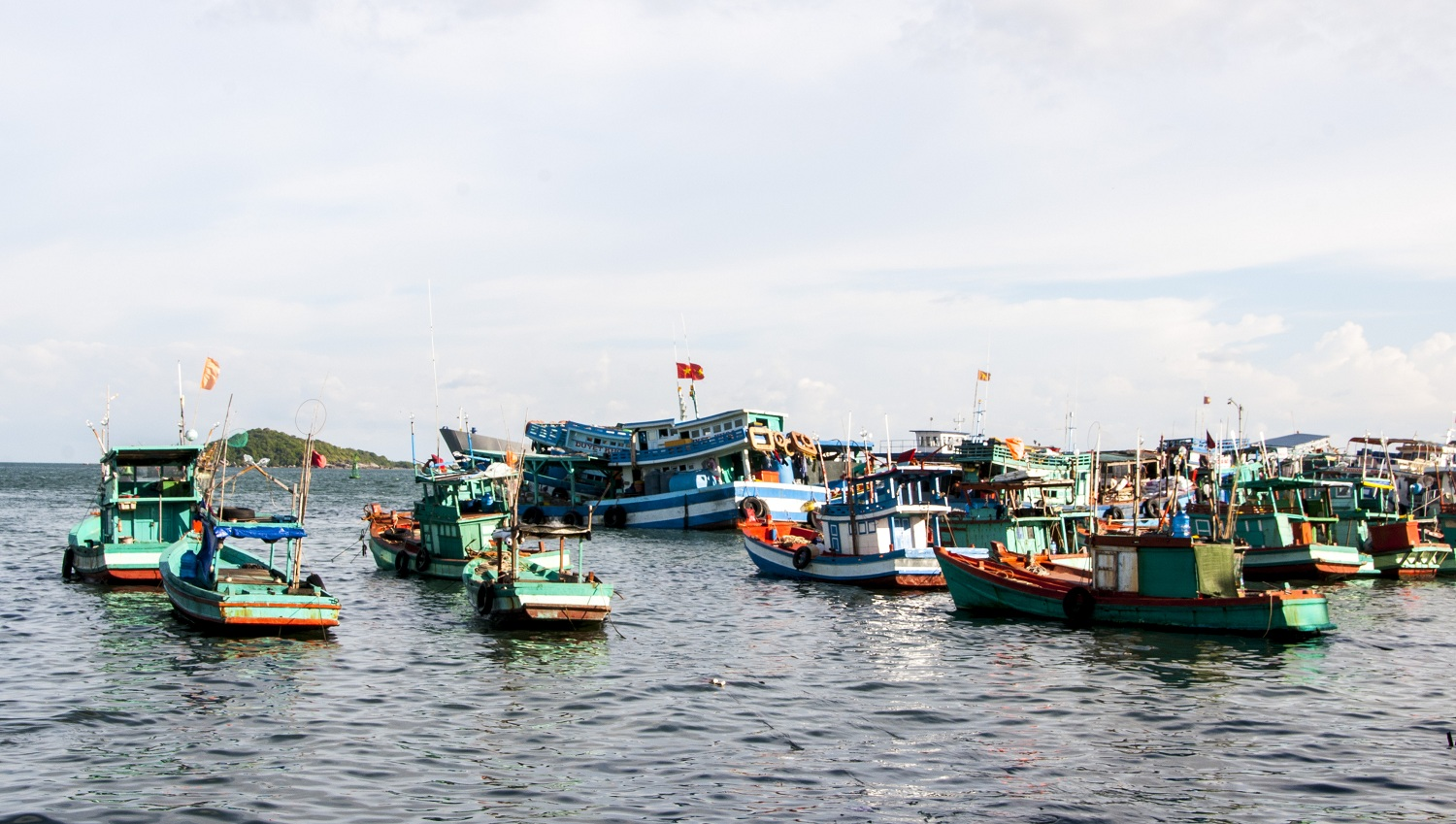 Đến làng chài Hàm Ninh vào buổi sáng, du khách có thể mua và quan sát ngư dân đánh bắt cá