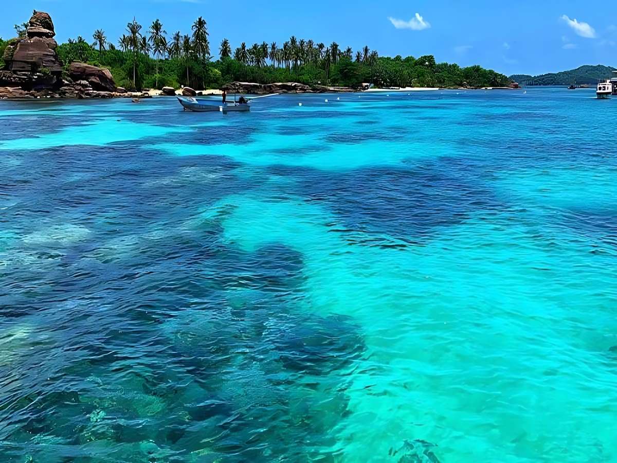Du khách khám phá hệ sinh thái san hô phong phú Hòn Gầm Ghì.