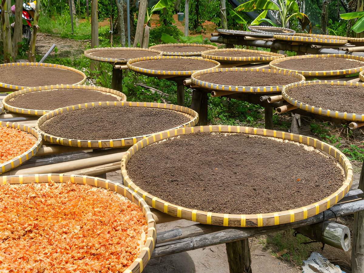 Hồ tiêu Phú Quốc với các sản phẩm đặc trưng