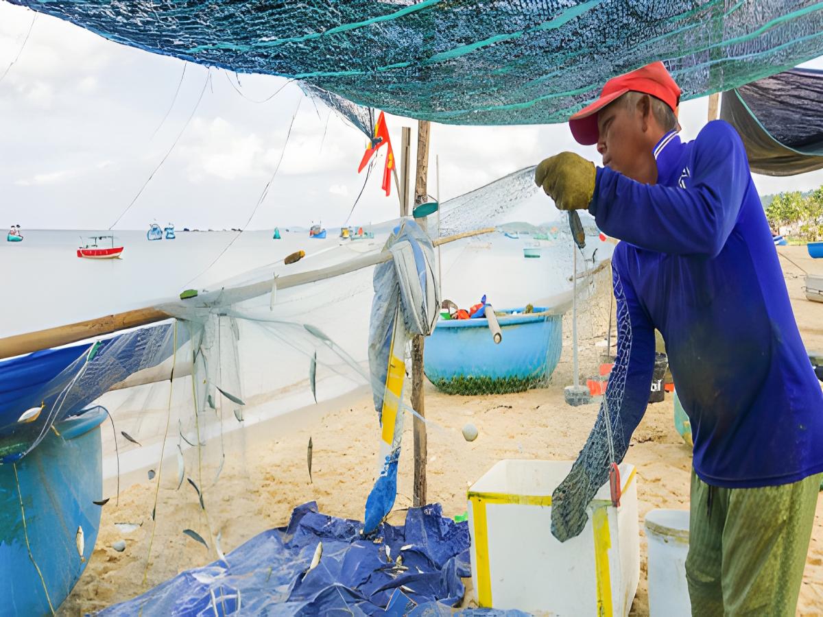 Gỏi cá trích Phú Quốc gắn với đời sống làng chài ven biển