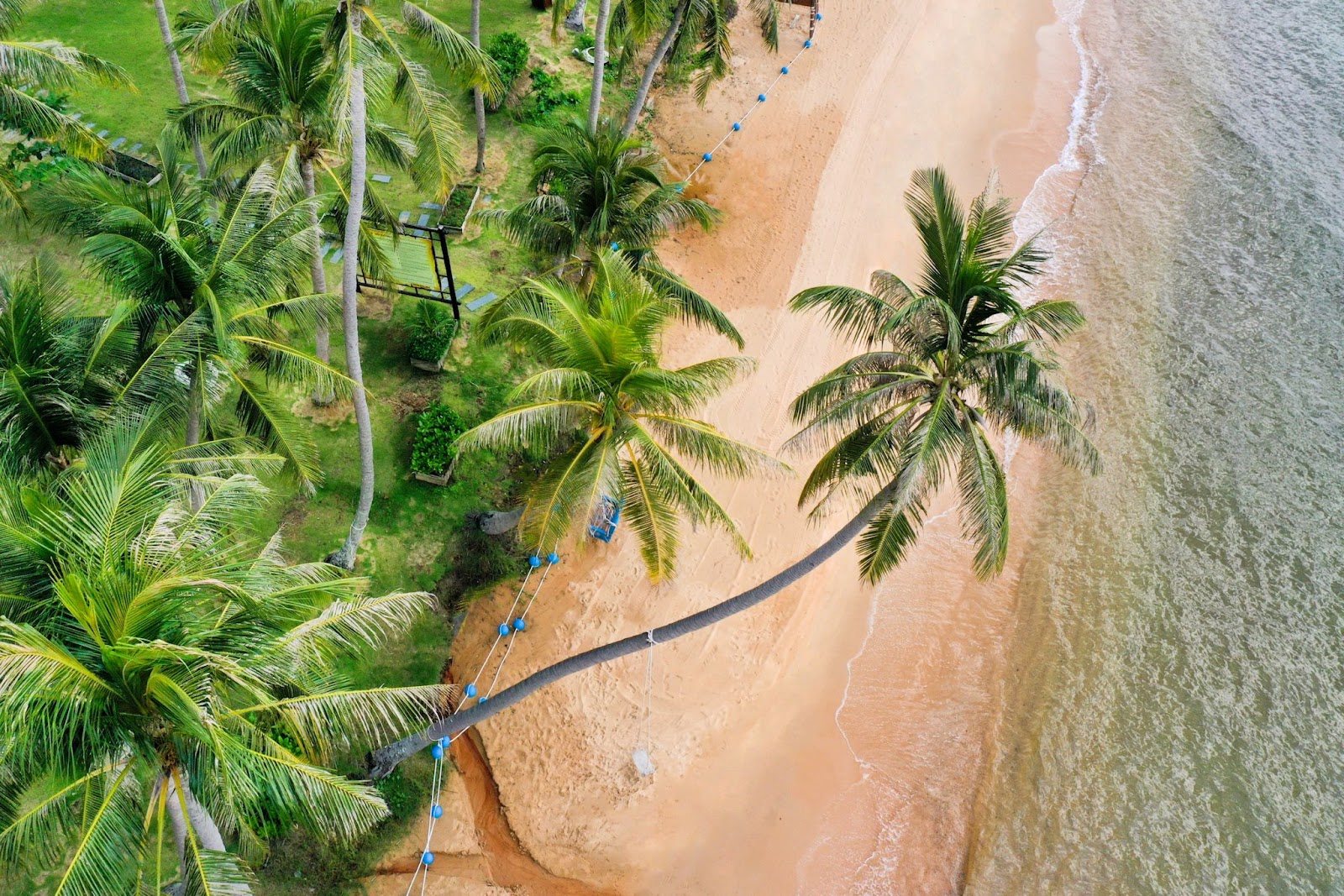 Trao Beach – the hidden gem with golden sands and palm-lined shores (Photo: Collected)