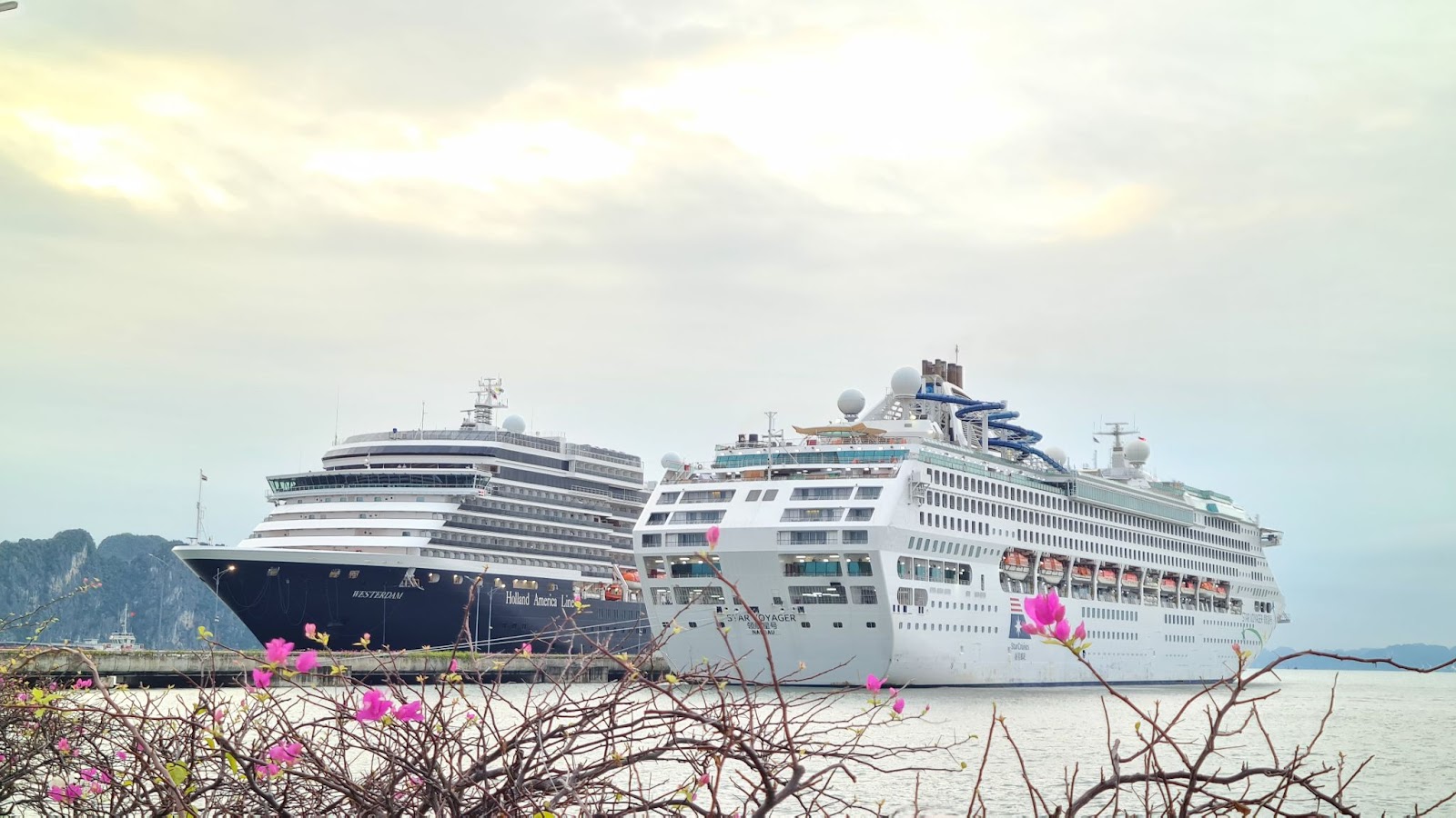 Hai du thuyền hạng sang Westerdam (Hà Lan) và Star Voyager (Bahamas) cập Cảng tàu khách quốc tế Hạ Long