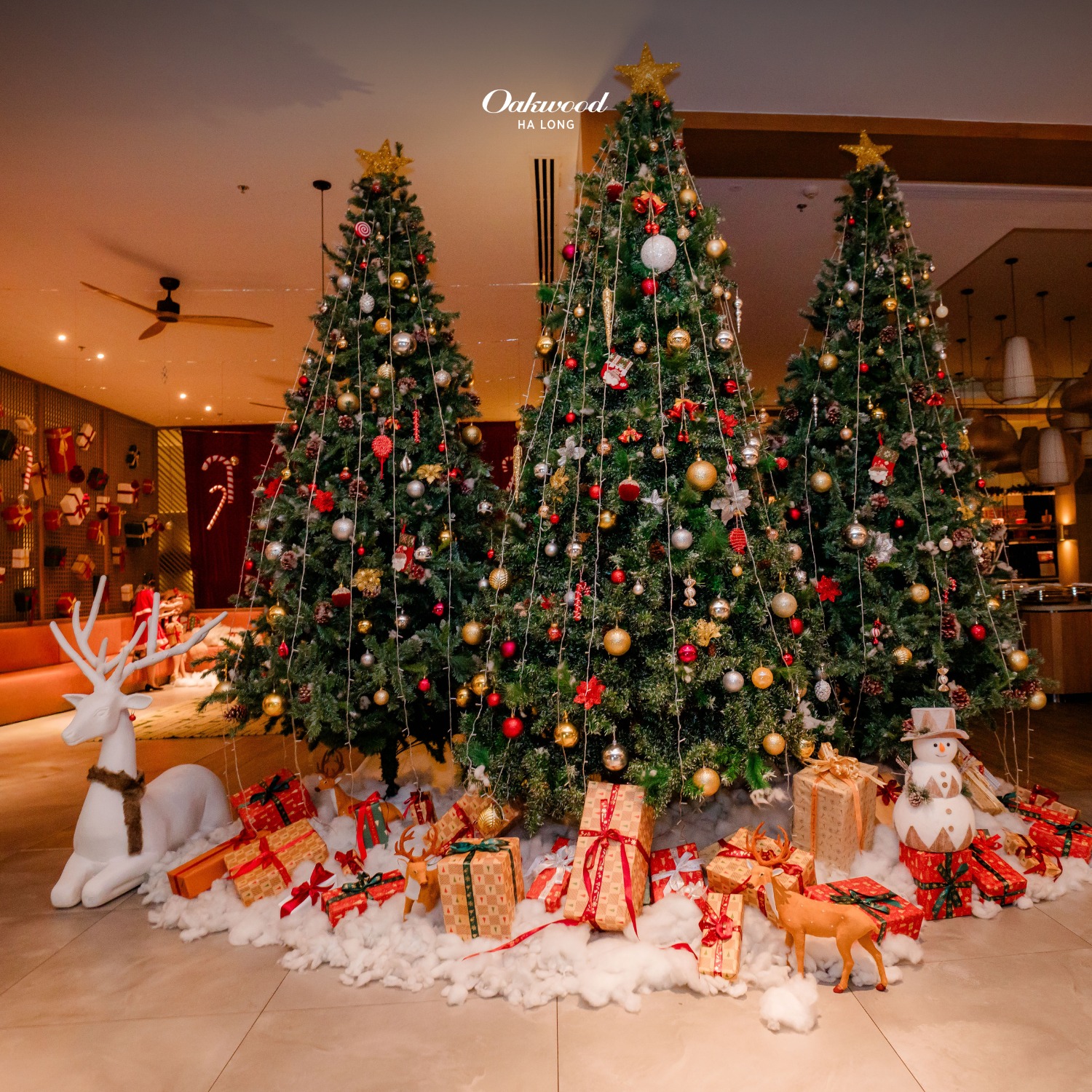 Khu Oakwood Ha Long trang hoàng rực rỡ dịp Giáng sinh.