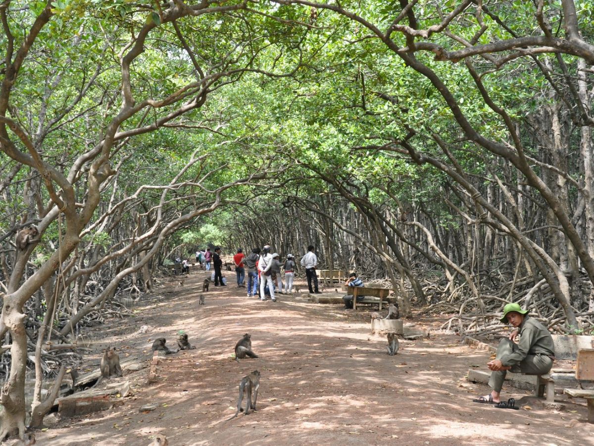 Đảo Rều Quảng Ninh với hệ sinh thái đa dạng.