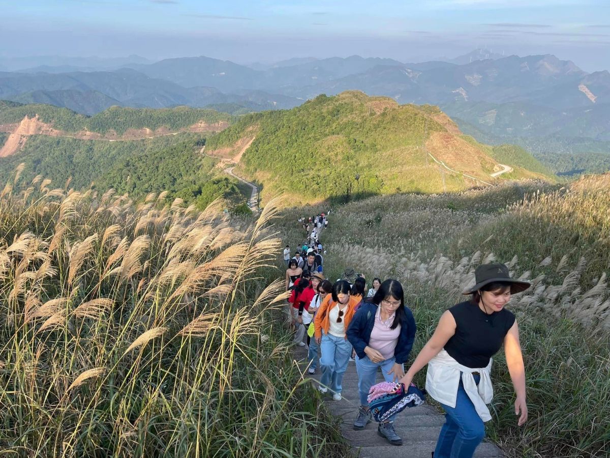 Trekking “Sống Lưng Khủng Long” tại cột mốc 1305 Bình Liêu Quảng Ninh