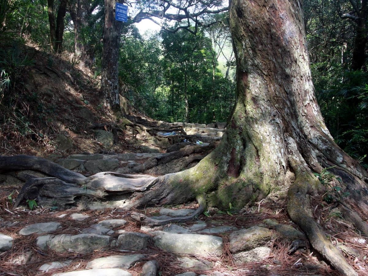 Trên tổng quãng đường khoảng 6 km với hơn 6.000 bậc đá dẫn lên chùa Đồng. (Nguồn: Sưu tầm)