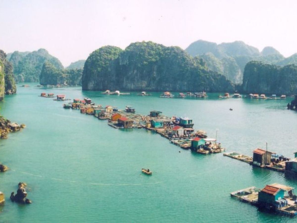 Khám phá Vịnh Hạ Long là lựa chọn được nhiều du khách ưa thích, khi đến Quảng Ninh tháng 8.
