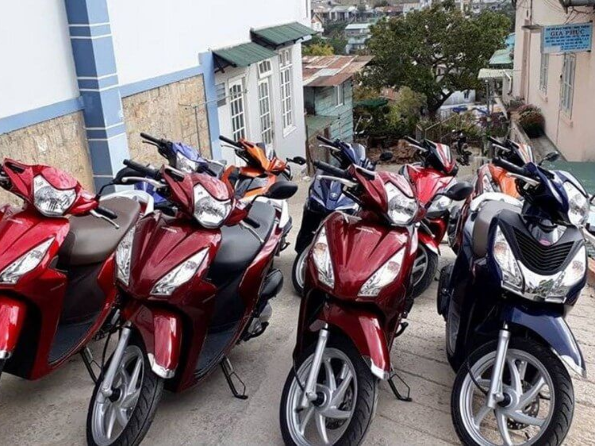Vườn Đào Motorbike tọa lạc tại trung tâm Bãi Cháy khu vực du lịch sôi động của Hạ Long.