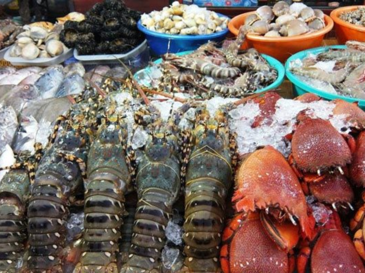 Hải sản mùa thu thường chắc thịt và đậm vị hơn khiến bữa ăn thêm đáng nhớ.