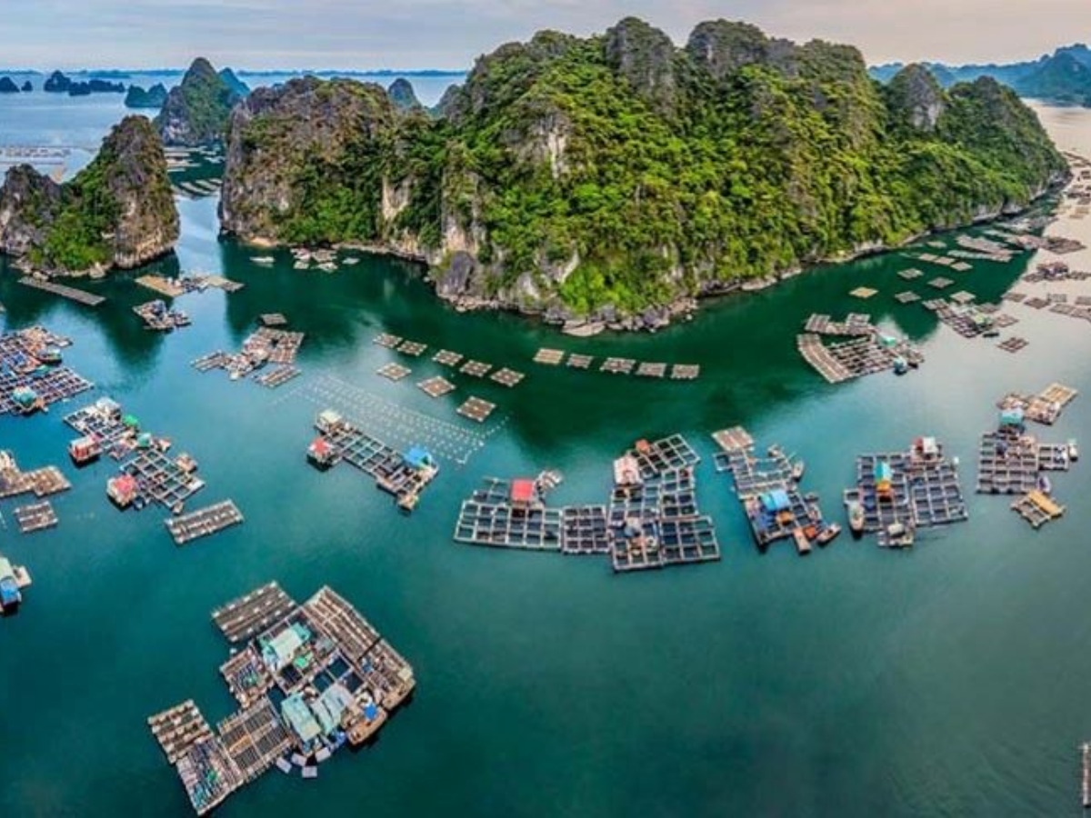 Một số tuyến tham quan cho phép du khách ghé thăm khu vực từng là làng chài trên vịnh.