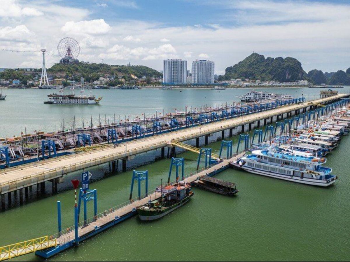 Khu vực cảng tàu du lịch nơi xuất phát tham quan Vịnh Hạ Long thường đông nhất vào buổi sáng.