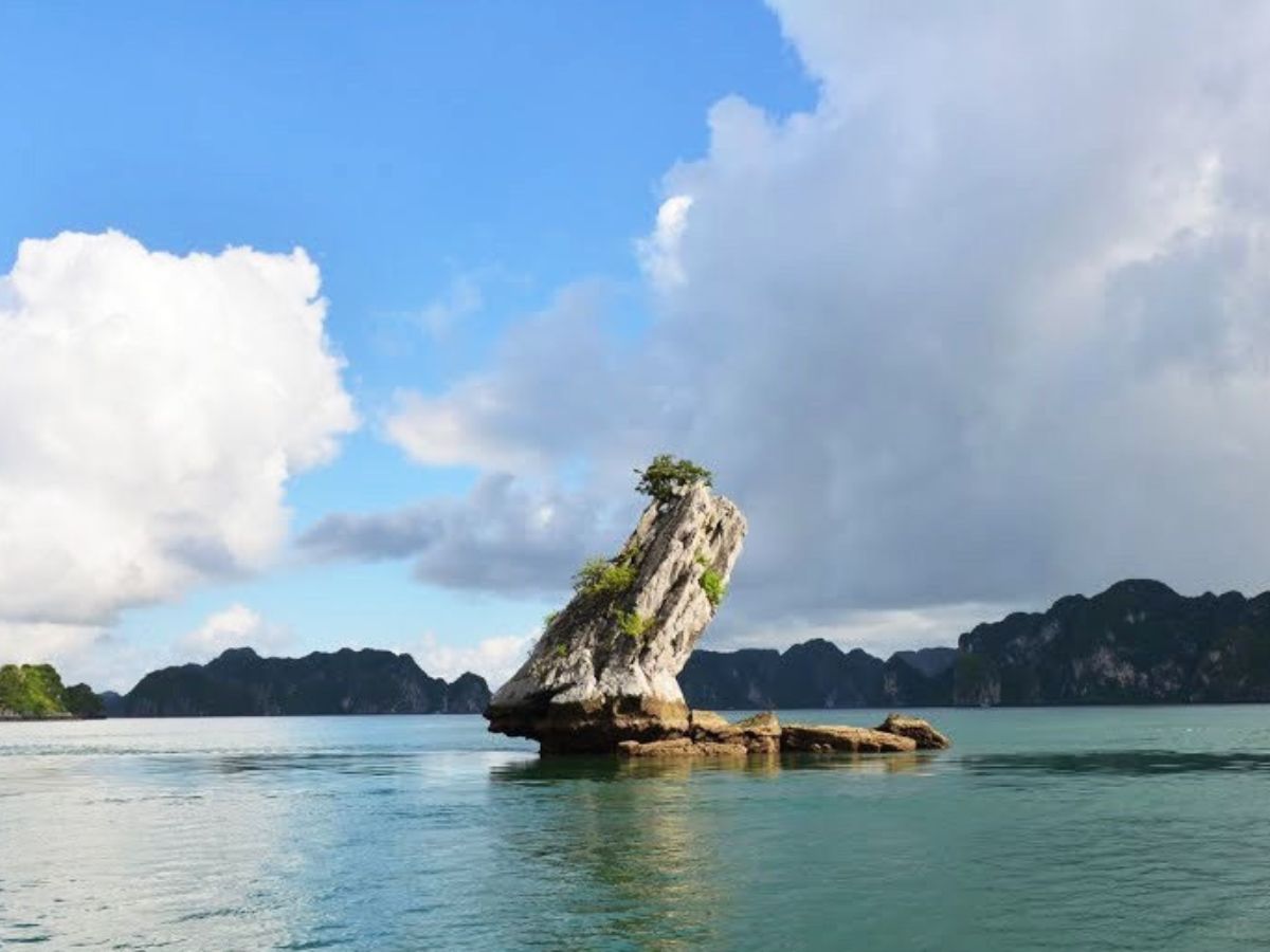 Khám phá Hòn Con Cóc với cấu trúc đá vôi cổ đại và hình dáng kỳ thú.