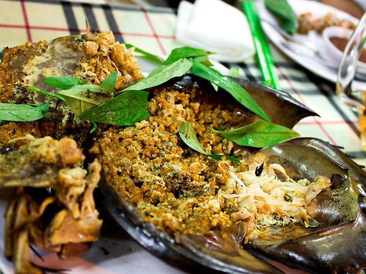 Sam biển là đặc sản Quảng Ninh được nhiều du khách tò mò trải nghiệm.