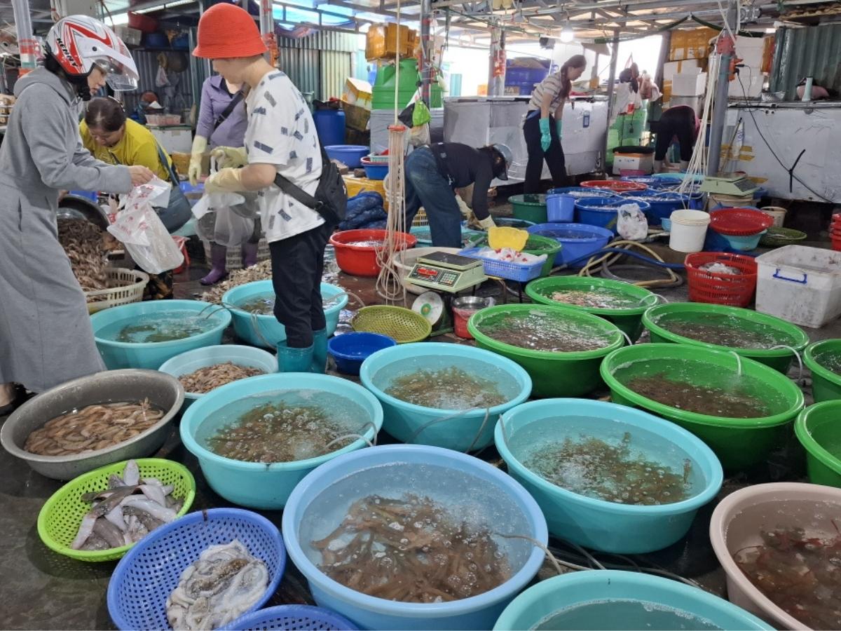 Điểm đặc sắc của chợ Cô Tô là sự phong phú về chủng loại hải sản.