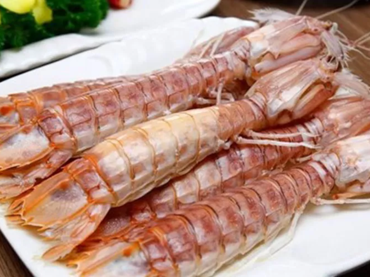 Bề bề Cô Tô khiến nhiều du khách bất ngờ bởi vị ngọt và thịt mềm.