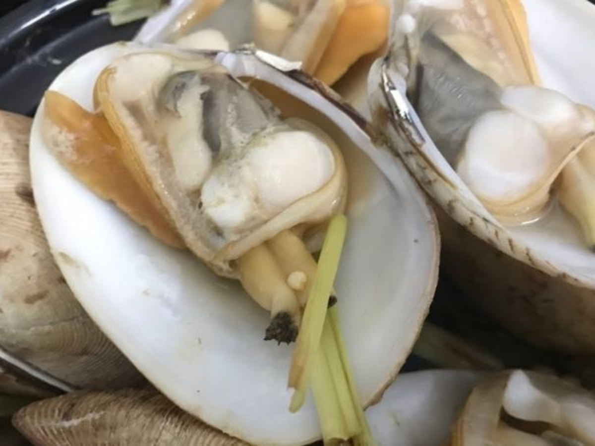 Ngao biển Cô Tô có thịt dày vị ngọt tự nhiên và rất dễ thưởng thức.
