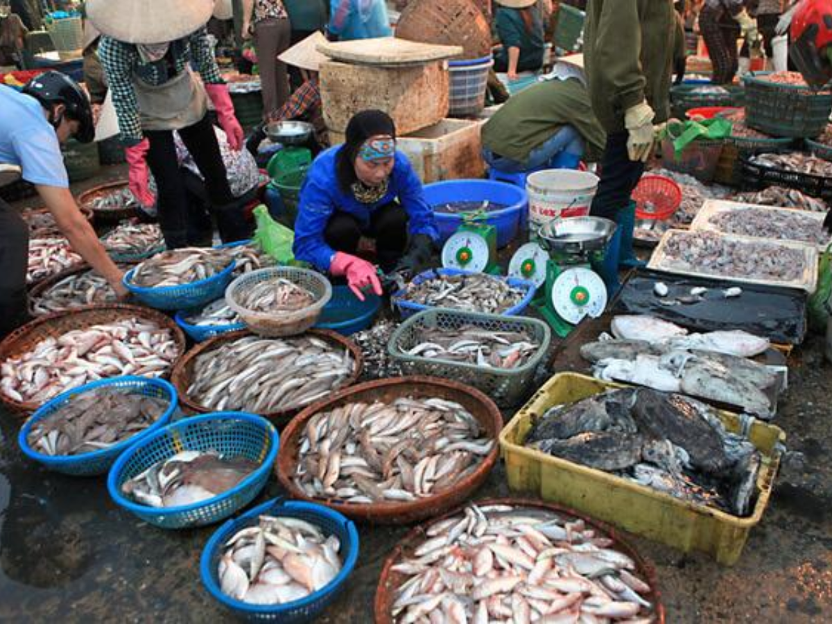 Chợ cá Tân Đoài nhộn nhịp nhất vào khung giờ từ năm đến bảy giờ sáng.