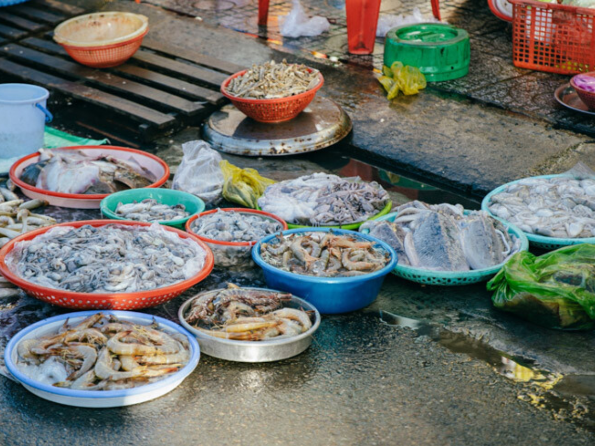Buổi sáng sớm nên ghé chợ hải sản Quan Lạn hoặc chợ Minh Châu.