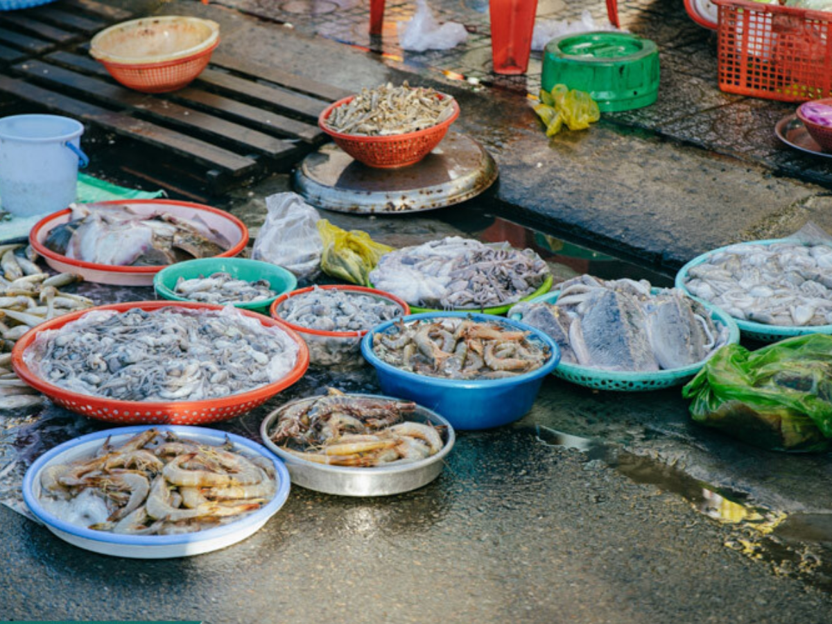Chợ đêm Quan Lạn là nơi thưởng thức hải sản tươi và mua đặc sản địa phương.