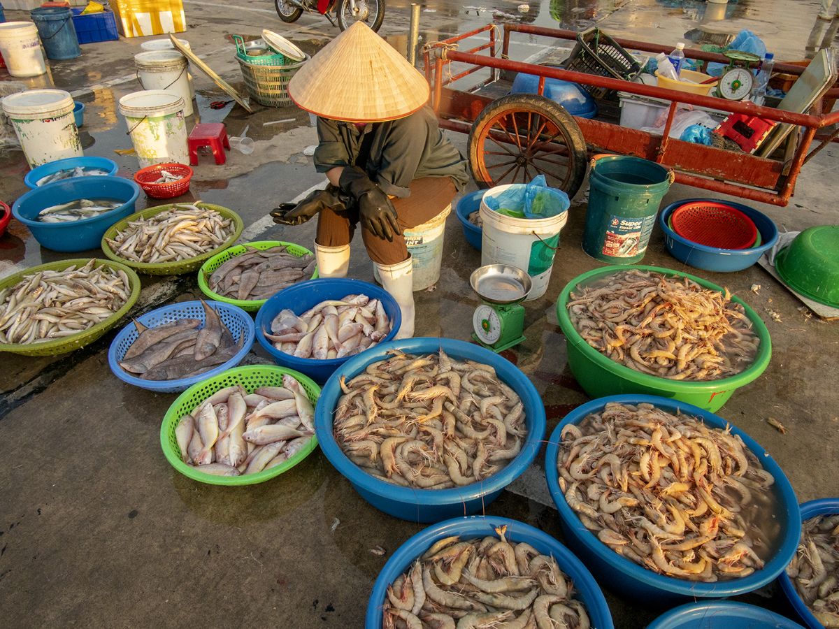 Quan Lạn nằm sâu trong vịnh Bái Tử Long với nhiều loại hải sản có giá trị.