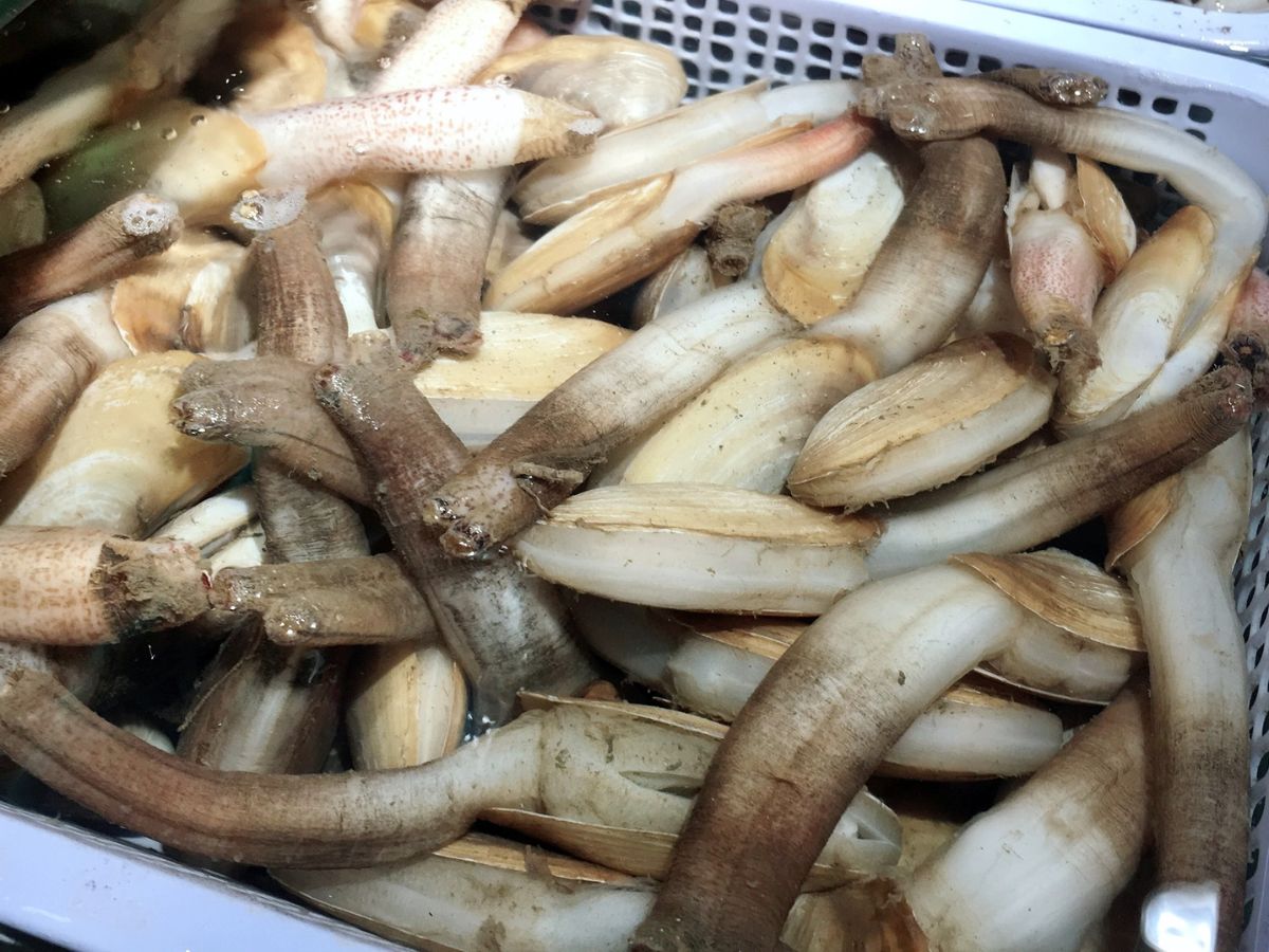 Tu hài là đặc sản Quan Lạn được người dân và du khách yêu thích.