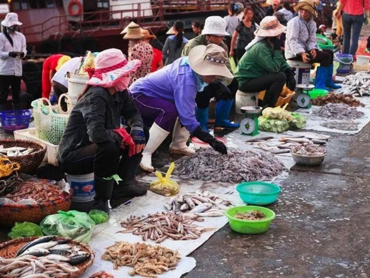 Hải sản tại chợ Quan Lạn tươi mới mỗi ngày.