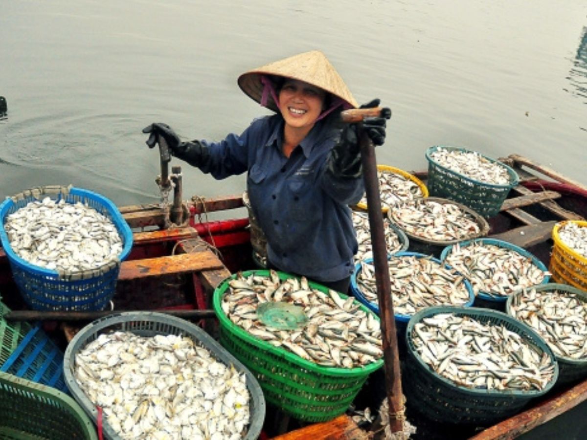 Chợ Cẩm Phả đa dạng hải sản tươi và khô được đánh bắt từ biển cả.