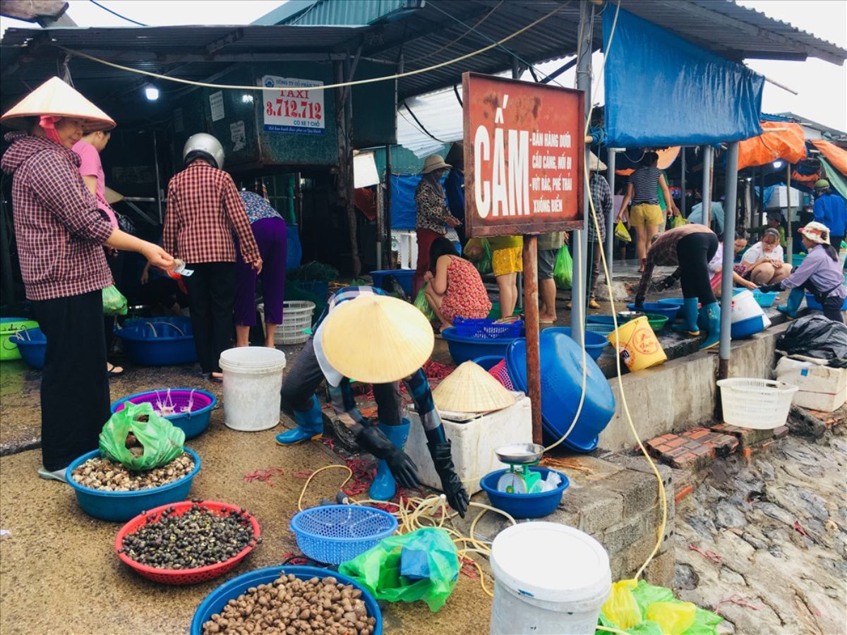 Khám phá không gian chợ Cẩm Phả nhộn nhịp, quen thuộc đậm nét văn hóa địa phương.