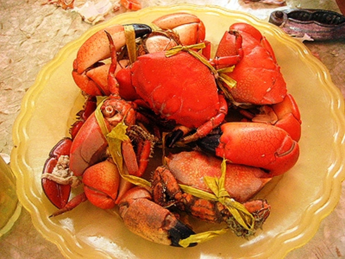 Cù kỳ có hình dáng giống cua nhưng chân dài và phần càng rất chắc thịt.