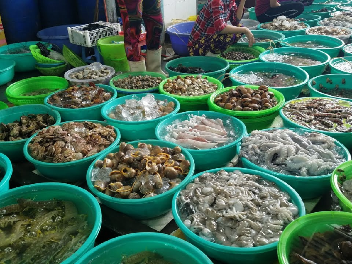 Nhà bè Hồng Vân gần cầu cảng là nơi trải nghiệm chọn hải sản sống trên biển.