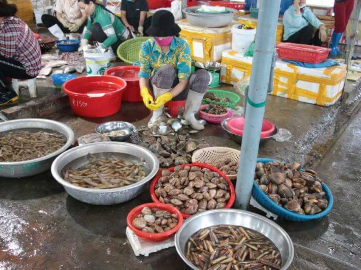 Chợ trung tâm Cô Tô họp buổi sáng là nơi mua hải sản tươi phổ biến nhất.