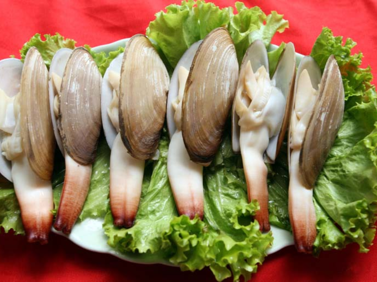 Hải sản Cô Tô Quang Minh phù hợp du khách thích ăn uống gần biển.
