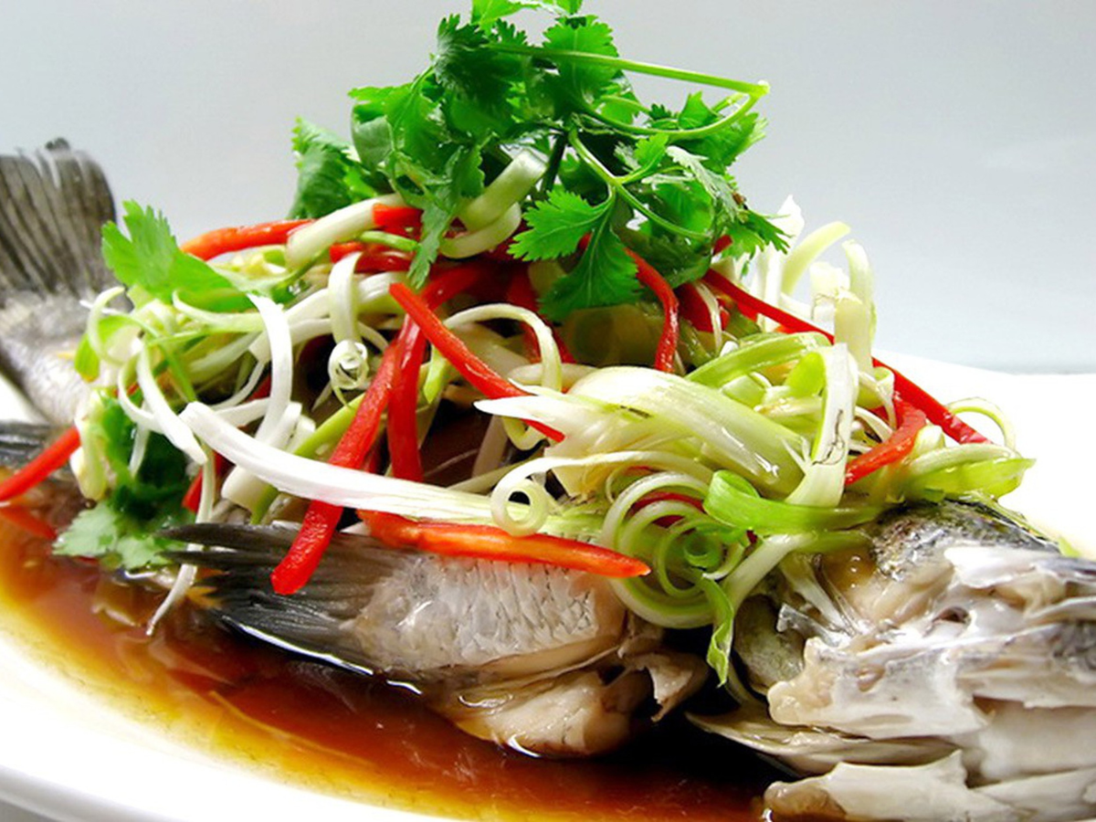 Cá biển Cô Tô rất phong phú từ cá song cá thu đến cá nhồng.
