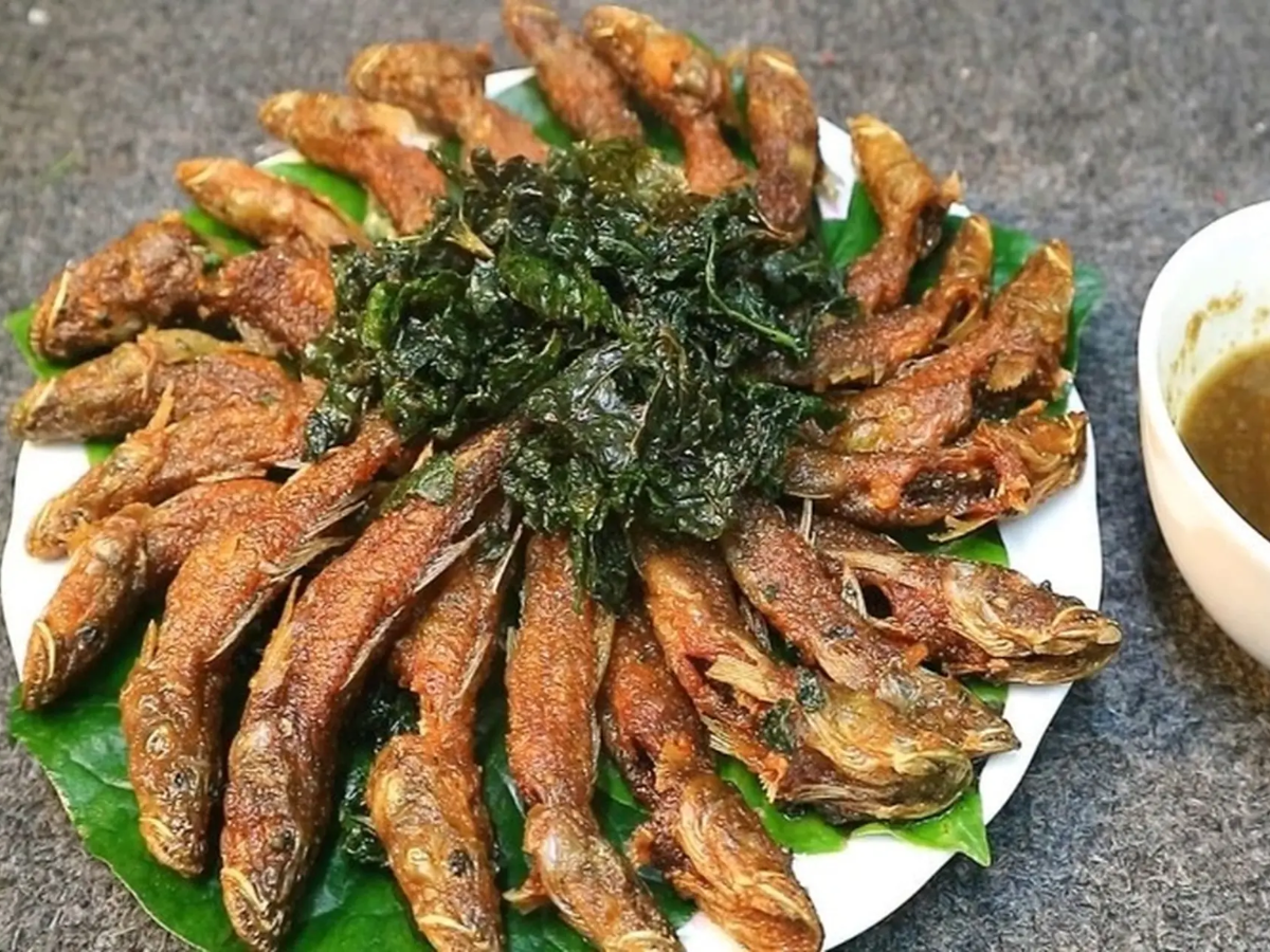 Cá suối chiên giòn Ba Chẽ gây thương nhớ bởi vị ngọt tự nhiên và độ giòn hấp dẫn.