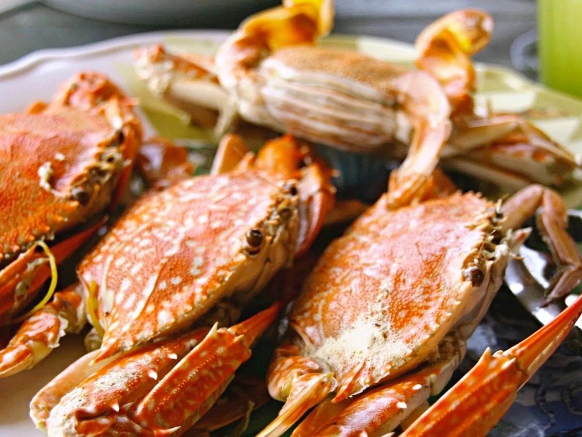 Các loại hải sản như cù kỳ, ghẹ Trà Cổ được đưa về Đông Triều quanh năm.