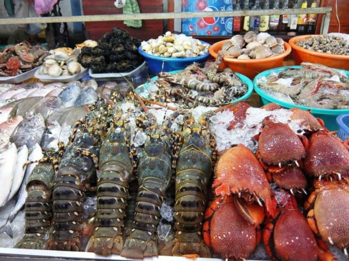 Du khách nên khảo giá trước khi quyết định chọn mua.