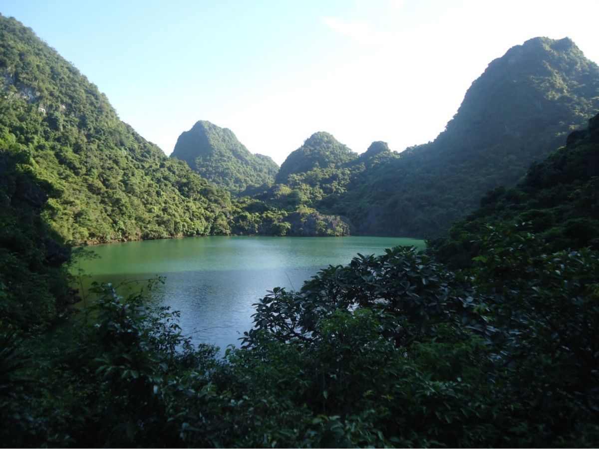 Vườn quốc gia Bái Tử Long sở hữu giá trị sinh thái đặc biệt và nằm gần di sản thiên nhiên thế giới Vịnh Hạ Long.