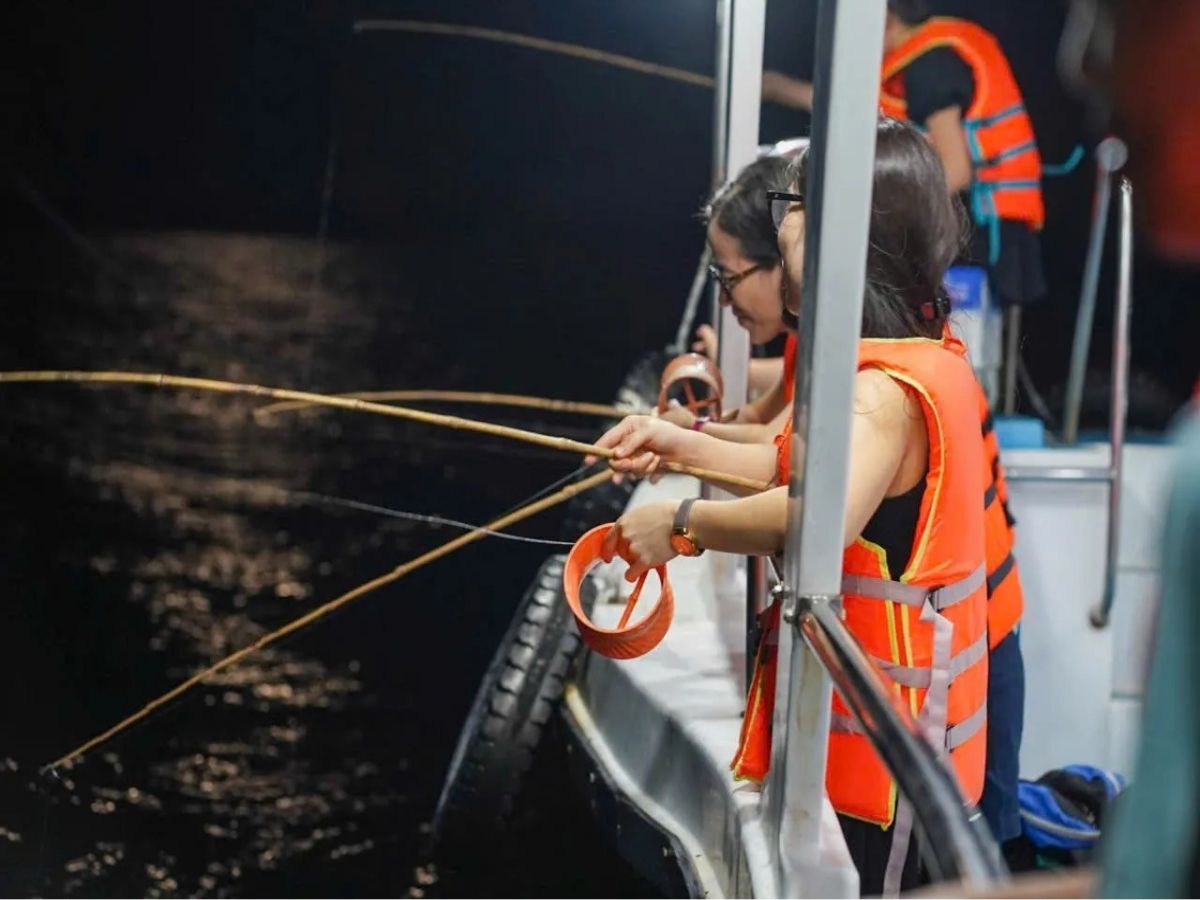 Nếu có thời gian, bạn có thể thử sức với tour câu mực đêm do người dân địa phương tổ chức.